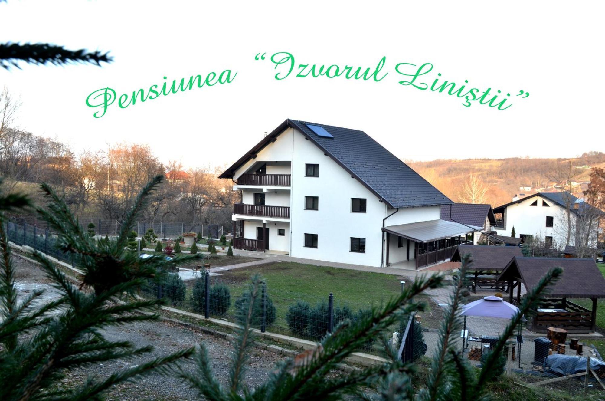 Pensiunea Izvorul Linistii Radaseni Eksteriør billede